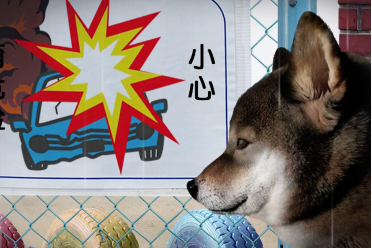 恐怖游戏《翌日 -波奇狗的历险记-》在Steam页面上线讲解