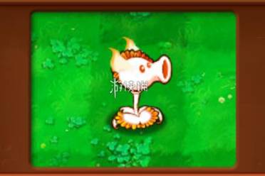 植物大战僵尸杂交版骄阳豌豆射手属性介绍讲解