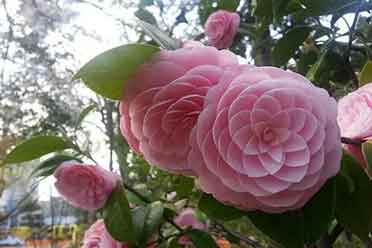 27张治愈强迫症的完美照片 看完身心愉悦满足无比！