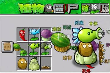 植物大战僵尸嫁接版植物图鉴汇总一览