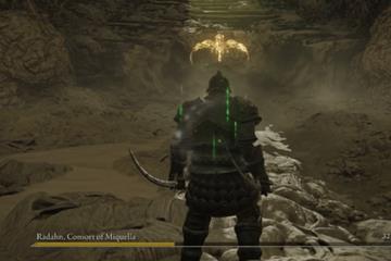 拉塔恩突然原地暴毙 国外玩家在挑战《黄金树幽影》最终BOSS时遇到BUG