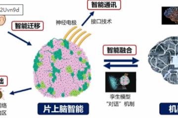 中国首创人脑驱动机器人 重磅研究！