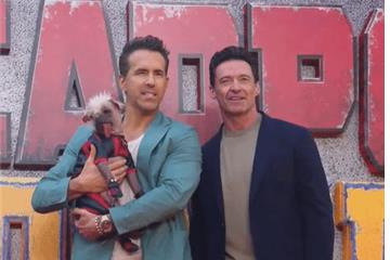 丑萌死侍狗成全场焦点！ 《死侍3》伦敦宣传现场