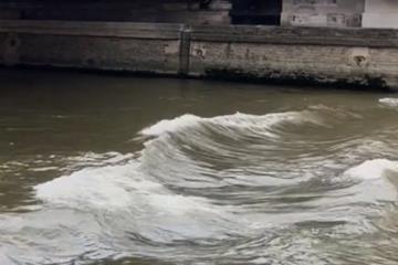 若下暴雨铁人三项游泳会取消 塞纳河水质最近不适宜下水比赛