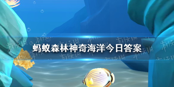 神奇海洋7月2日答案最新 可以通过什么来判断须鲸的年龄