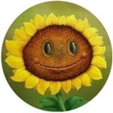 植物大战僵尸写实版 正版