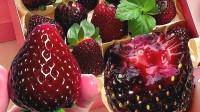 黑草莓上市，售价高达160元一斤，谁在购买