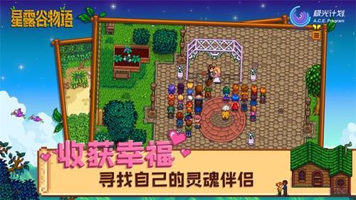 stardewvalley官网版