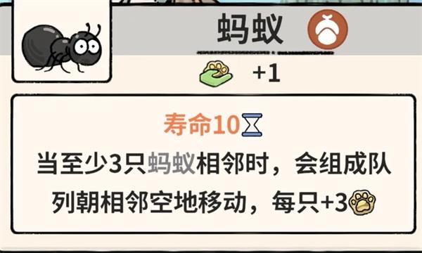 猫神牧场蚂蚁流玩法攻略介绍说明