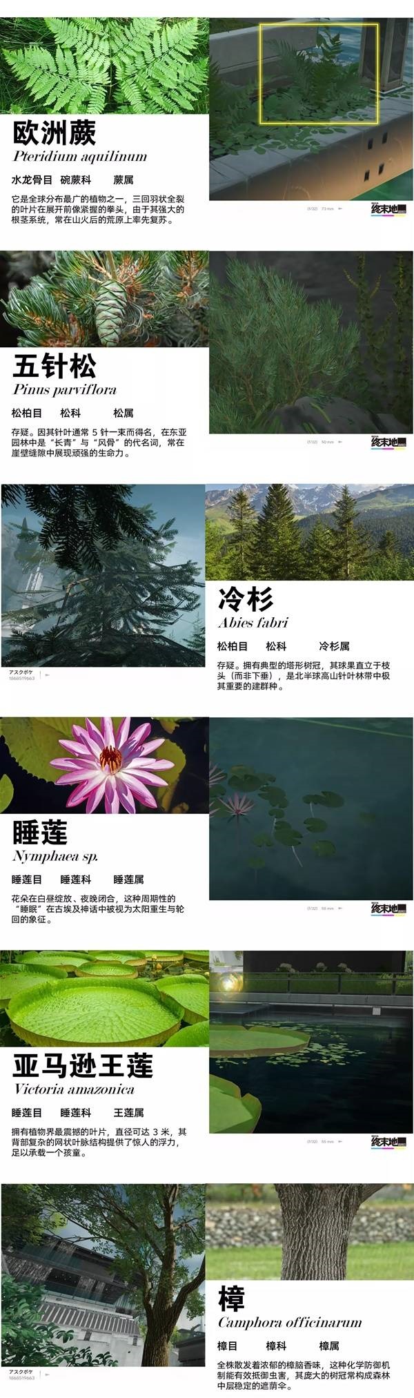 明日方舟终末地，塔卫二环境植物详解