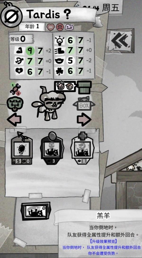 喵喵的结合，高效繁殖技巧分享