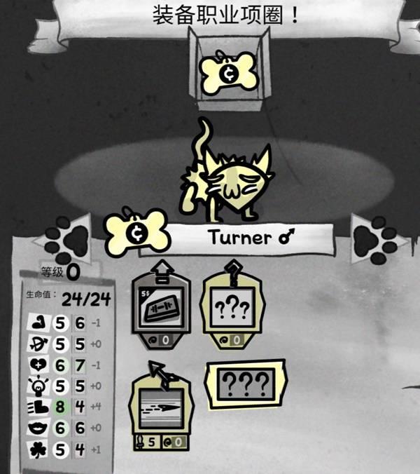 喵喵的结合，盗贼悸动之王通关攻略与思路分享