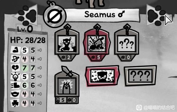 喵喵的结合，苍蝇挤爆流构筑技巧分享