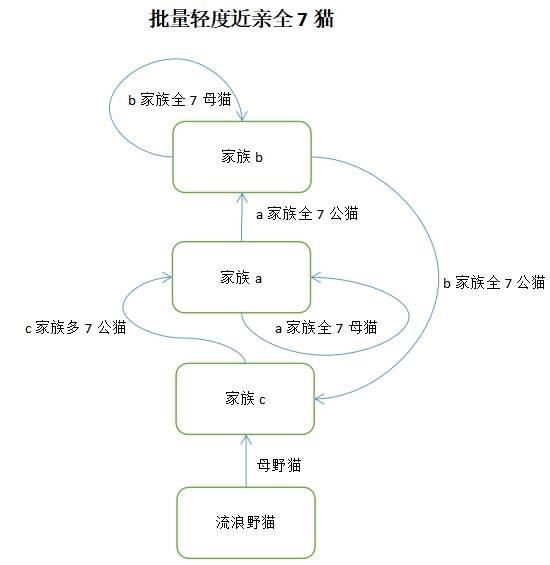 喵喵的结合配种流程，如何进行喵喵的配种