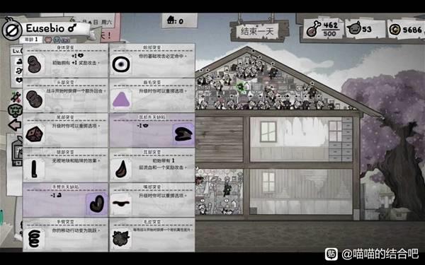 喵喵的结合猫咪养成技巧，10条实用心得