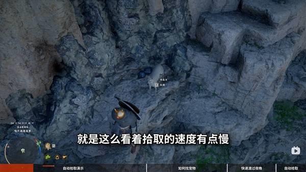 红色沙漠宠物获取攻略，宠物获取方法解析