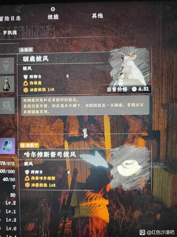 红色沙漠隐藏装备收集指南，驯鹿披风位置详解