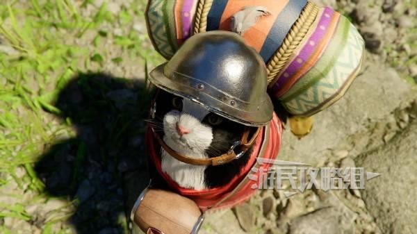 红色沙漠宠物防具获取指南，宠物盔甲服装获得方法
