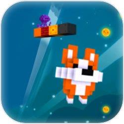 柯基的冒险之路