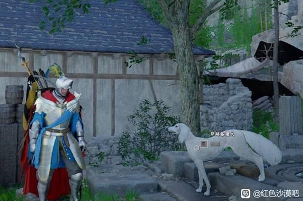 红色沙漠稀有宠物萨路基猎犬位置指南，萨路基猎犬在哪