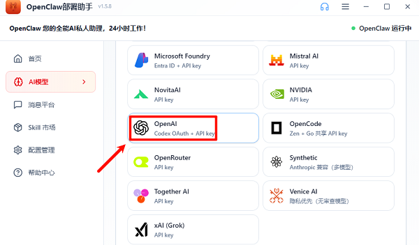 选择“OpenAI”